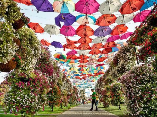 Miracle Garden photo